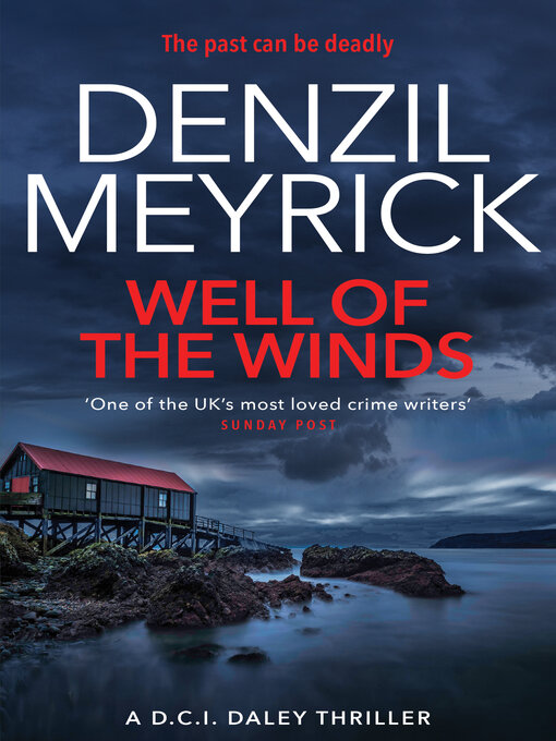 Title details for Well of the Winds by Denzil Meyrick - Wait list
